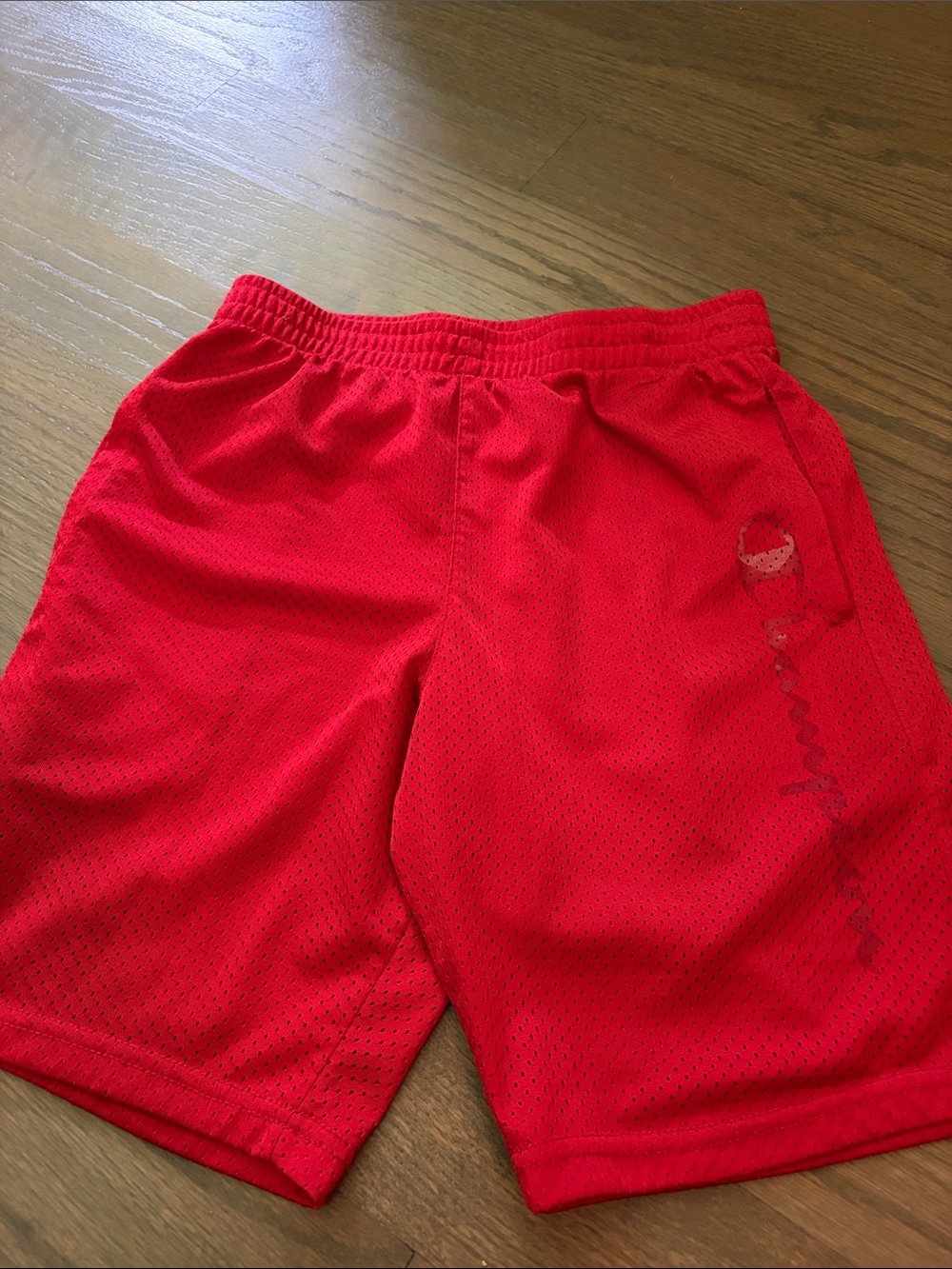 Champion mesh shorts